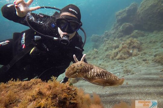 SSI Scuba Diver Course In Médano