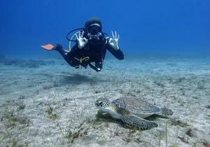 South of Tenerife : DSD Scuba Diving for beginners, Adeje
