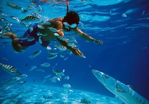 Snorkel In Cozumel! Boat Tour & Snorkel at 3 different Reefs