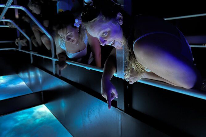 Airlie Beach Glass Bottom Boat Guided Night Tour