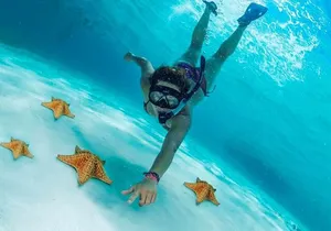 Cozumel Cielo Snorkel Adventure from Cancun and Rivera Maya