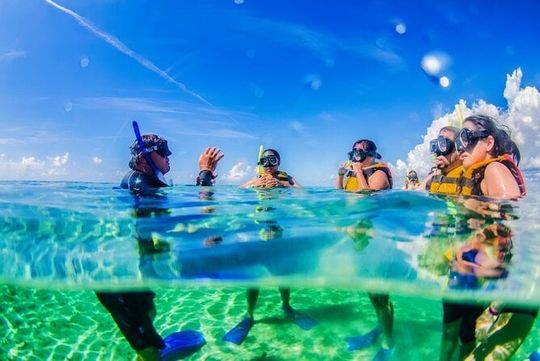 Speedboat across the Mangroves & Snorkel with Jet Ski Rental