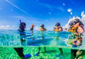 Speedboat across the Mangroves & Snorkel with Jet Ski Rental