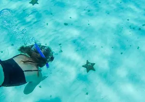 El Cielo Cozumel, a paradisiacal tour. Be amazed by the stars near to you.