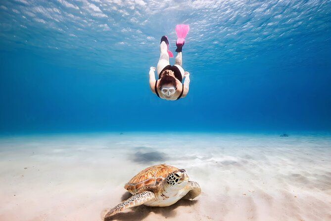 Turtle Sightseeing at Akumal & Underground Caves Tour