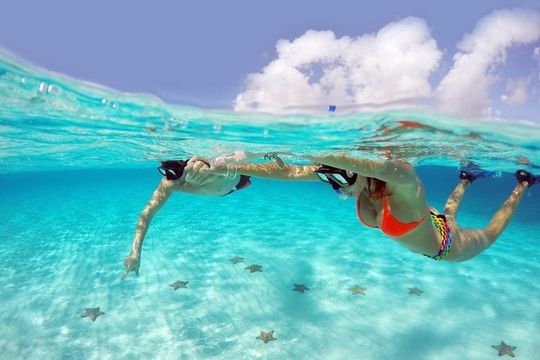 Cozumel Snorkeling Adventure full day Tour