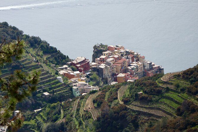 Private Cinque Terre Trek & Tour
