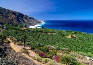 Tenerife North Private Tour: Through Villages and Ports