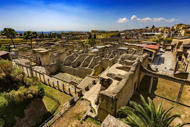 Vesuvius & Herculaneum Small Group Tour from Naples