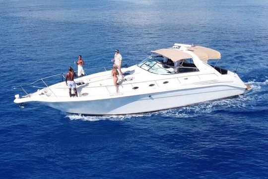 4 hours - Private 48ft Yacht all inclusive in Tulum and Playa del Carmen