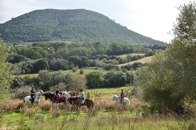 Horseback Riding in Randa Valleys, Mallorca, Spain
