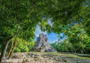 4x1 Deluxe:Tulum,Coba,Cenote,5 Avenue Playa delCarmen from Cancun