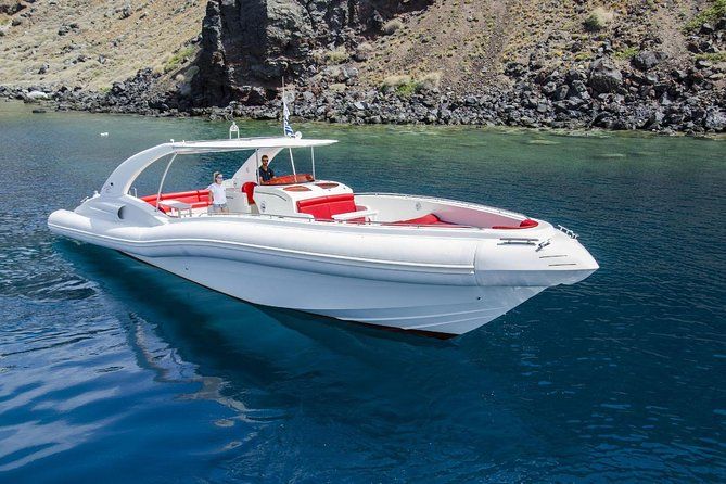Luxury Opera 60 Whale and Dolphin Watching Experience