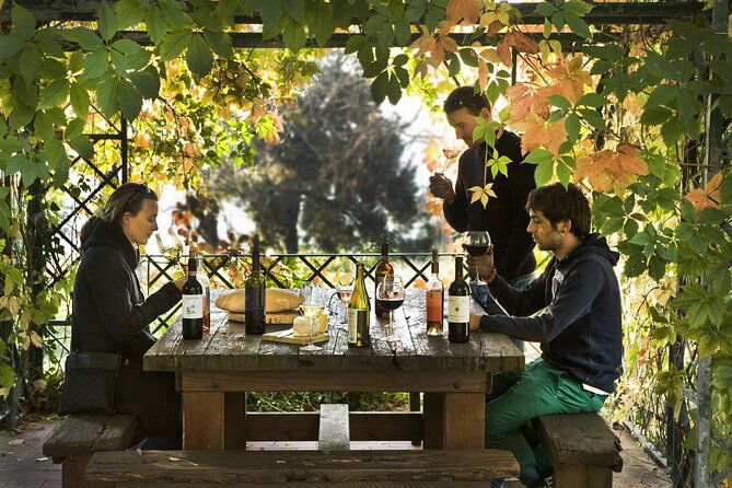 Exclusive Chianti Rufina Half Day Tour with Lunch from Florence