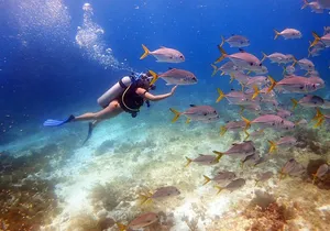 Diving in Cancun for Certified Divers | 2 Dives | All Inclusive