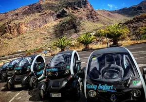 4 Hours Eco Safari Tour with Electric Car in Tenerife