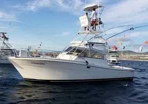 Private Half-Day Fishing bear boat!