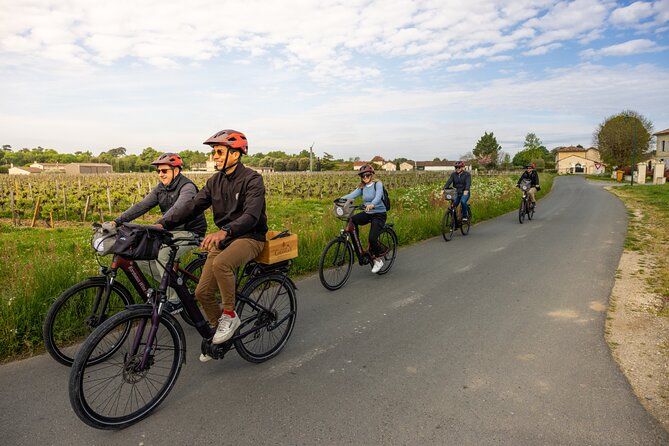 Saint-Emilion E-Bike Wine Tour | Wine & vines & Gourmet Picnic