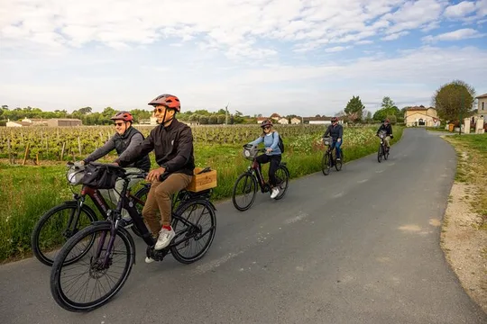 Saint-Emilion E-Bike Wine Tour | Wine & vines & Gourmet Picnic