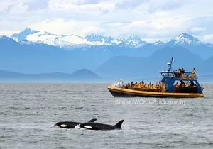 Whale-Watching Tour from Vancouver