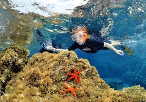 Snorkeling - By boat on site in the Bay of Cannes or Estérel