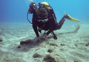 SSI basic diver In Tenerife - 2 Dives