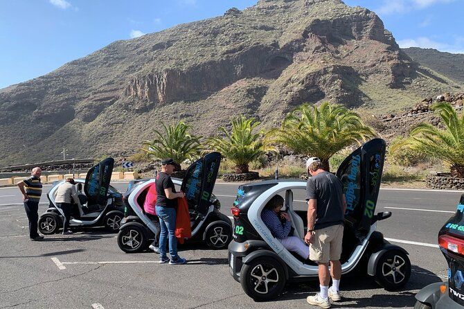 4-Hour Eco Mountain Safari Tour with Electric Car in Tenerife