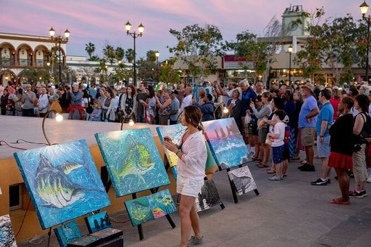 Half-Day Guided Tour in San José del Cabo Art and Beer Tasting