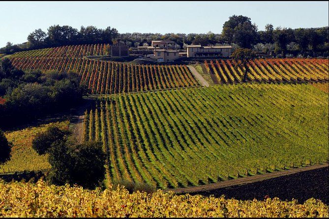 Wine tour in Umbria along the Sagrantino trail with light lunch