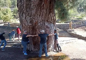 Custom Private Tenerife Volcano Tour with Photo Session