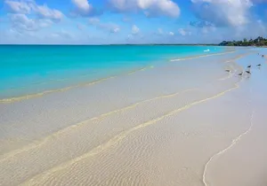 Holbox Tour with Ferry transportation and lunch included