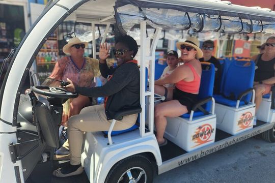 Electric Bus tour of Nassau with sampling of local food & drinks