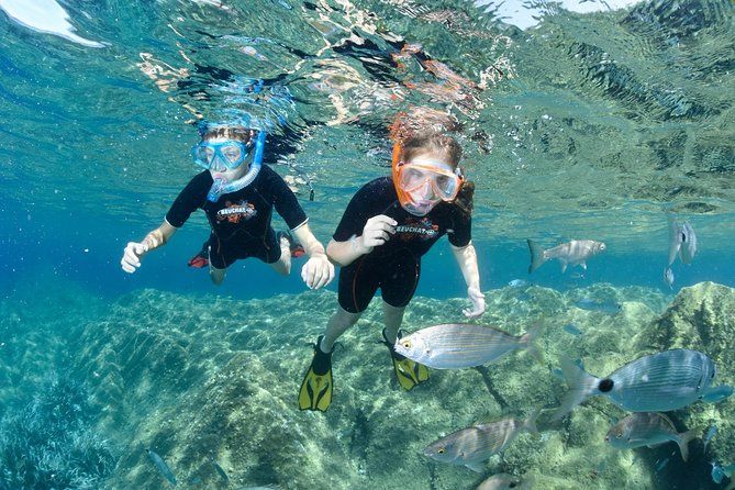 Snorkeling - By boat on site in the Bay of Cannes or Estérel