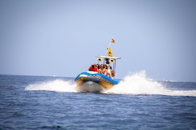 SEA SAFARI Dolphins,Whales, snorkeling, snack, drink, 3h private