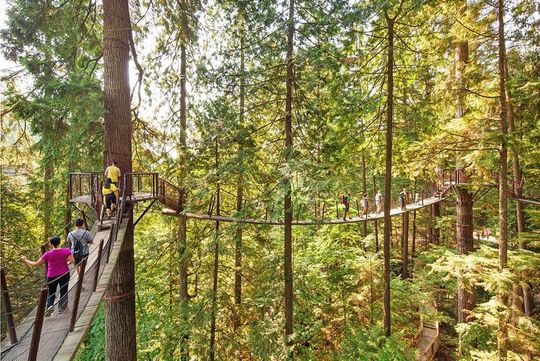 Vancouver, Capilano Suspension & Grouse Mountain Private Tour