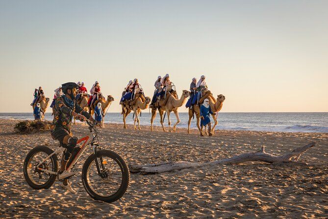 Electric Bike and Beach Camel Ride with Mexican Buffet Lunch