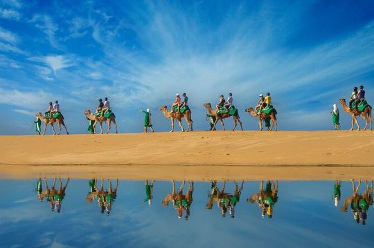 Los Cabos Camel Ride Adventure On The Beach