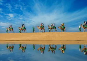 Los Cabos Camel Ride Adventure On The Beach
