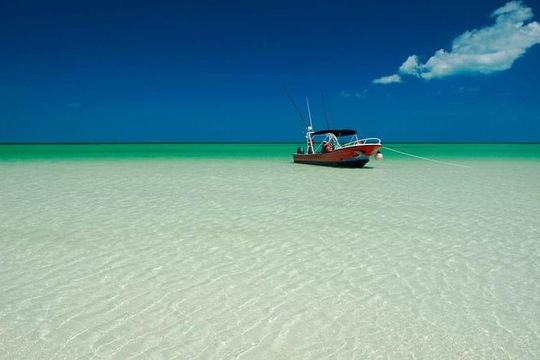 Tour Holbox Magic Island - Pasion Island & Cenote from Cancun