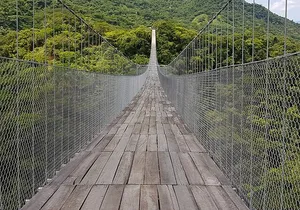 Combo Jorullo Bridge ATV, Zip Line, Mules