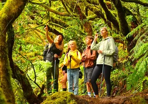 Tenerife: Hiking Tour in Anaga & Enchanted Forest with Pickup