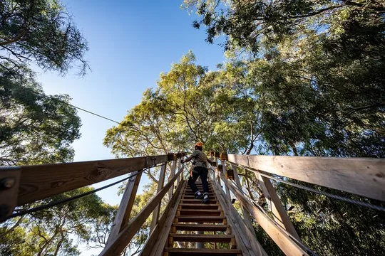 Tree Top Activity for Thrill Seekers and Adventurers in Adelaide