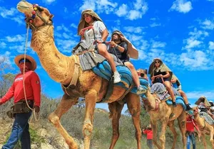 Guided Canyon Camel Ride in Wild Canyon Adventure Park