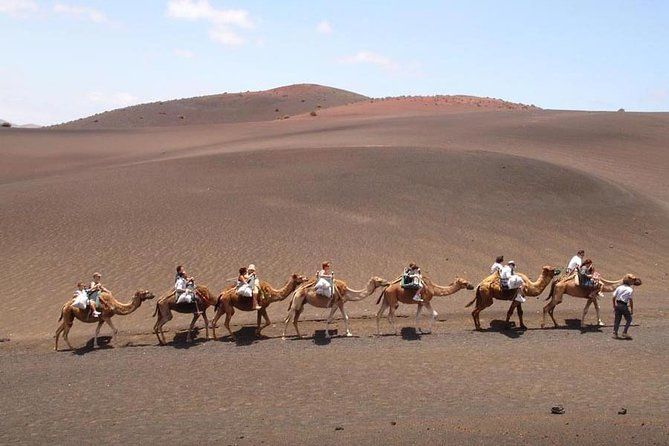 Full Day Tour to Timanfaya, Green Lagoon and La Geria
