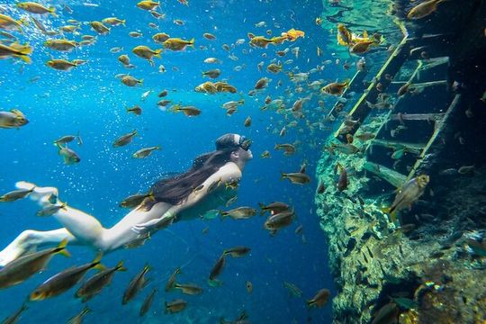 Chichen Itza, Cenote and Valladolid Tour, from Riviera Maya