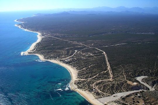 Half Day Surfari | Good for all Levels & Ages