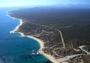 Half Day Surfari | Good for all Levels & Ages