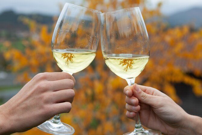 Private Txakoli wine tour in Getaria from San Sebastian