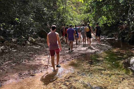 Jungle Hiking Adventure and Waterfall Swim. Nogalito Ecopark