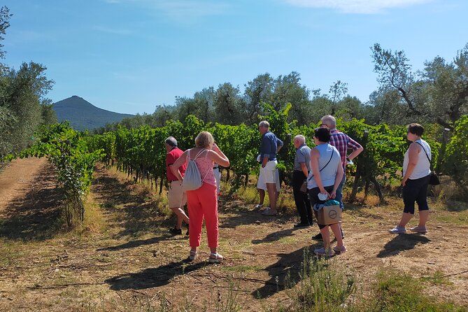 Private Wine Tour to Bolgheri with Expert Sommelier - 2 Wineries